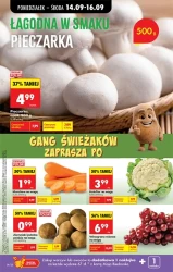 1+1 gratis i drugi za grosze - Biedronka
