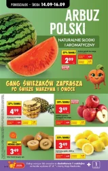 1+1 gratis i drugi za grosze - Biedronka