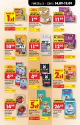 1+1 gratis i drugi za grosze - Biedronka
