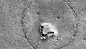 Orbiter NASA uchwycił na Marsie "niedźwiedzia". Co to jest ?