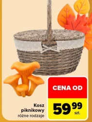 Kosz piknikowy