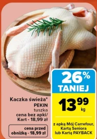 Kaczka Carrefour