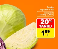Kapusta biała