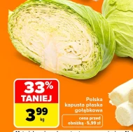 Kapusta