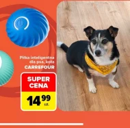 Piłka dla psa Carrefour