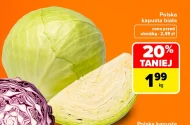 Kapusta biała