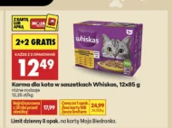 Karma dla kota Whiskas