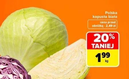 Білокачанна капуста