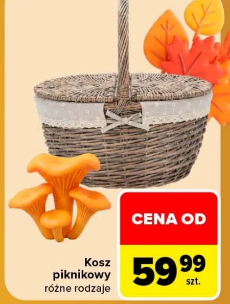 Кошик для пікніка