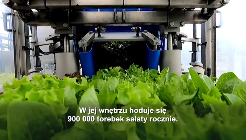 Rewolucja w branży spożywczej: uprawa, pakowanie i sprzedaż w jednym miejscu