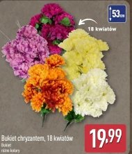 Chryzantema