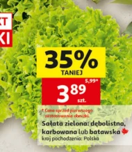 Sałata Zielona Sowa