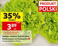 Sałata Polski