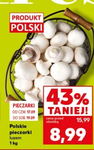 Pieczarki Polski