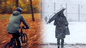 Jesień i zima nie będą "normalne". W prognozach roi się od anomalii