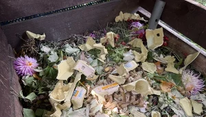 Niektórych odpadów pod żadnym pozorem nie powinno wrzucać się do kompostownika