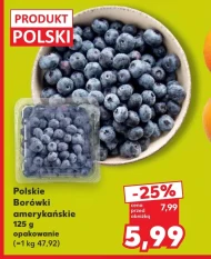 Чорниця Polski