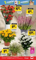 Codziennie świeżo i taniej - POLOmarket