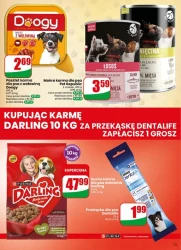 Pyszna porcja na cały tydzień - Dino