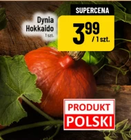 Dynia Polski