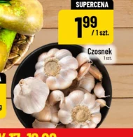 Czosnek