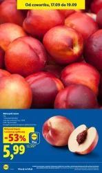 Świeżość, która się opłaca - Lidl