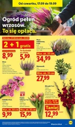 Świeżość, która się opłaca - Lidl