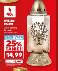 Znicz