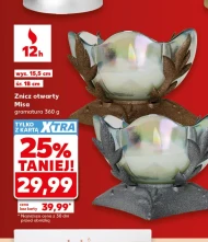 Znicz