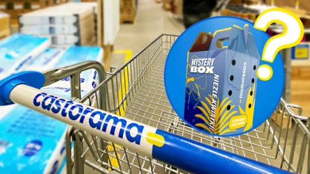 Castorama wprowadza Mystery Boxy. Sprawdziłam, co jest w środku tajemniczego pudełka