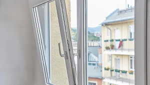 Posmaruj tym ramy okienne. Biedronki nie będą wchodziły do mieszkania