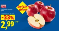 Jabłka Polski