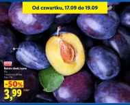 Śliwki Polski