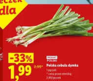 Cebula dymka Polski