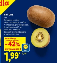 Kiwi Plus-Plus