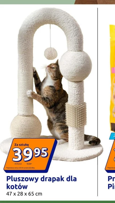 Когтеточка для котів S!