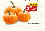 Dynia