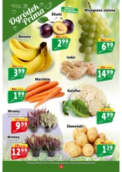 Schab bez kości 16,99 - Prim Market