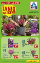 Na tani weekend do 93% taniej - Aldi