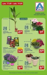 Na tani weekend do 93% taniej - Aldi