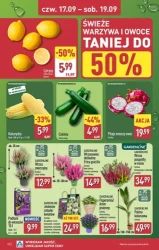Na tani weekend do 93% taniej - Aldi