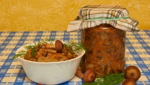 Grzyby po cygańsku robię jesienią na kilogramy. Smakują obłędnie