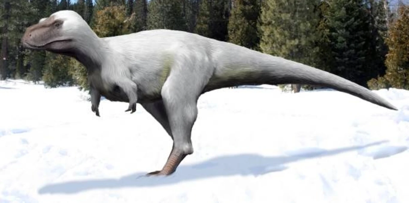 Duży, dwunożny dinozaur o jasnym upierzeniu stoi na śnieżnej powierzchni, w tle widoczne są gęste drzewa iglaste.