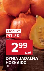 Dynia Polski