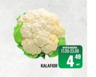Kalafior