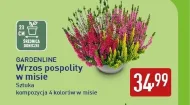 Wrzos Gardenline