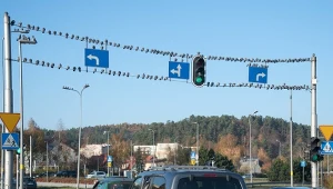 Zawracanie na skrzyżowaniu. Kiedy to można zrobić legalnie?