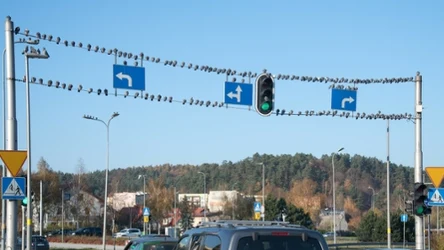 Kiedy na skrzyżowaniu zawracanie jest zakazane? 