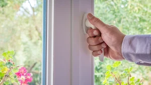 Włażą przez okna i smrodzą w domu. Tylko jedno naprawdę na nie działa