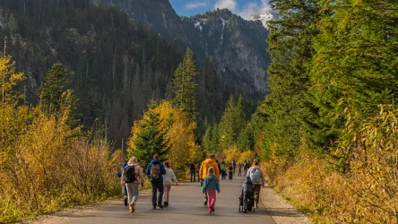 Trasa nad Morskie Oko cieszy się ogromną popularnością o każdej porze roku. Warto tam pojechać również jesienią.